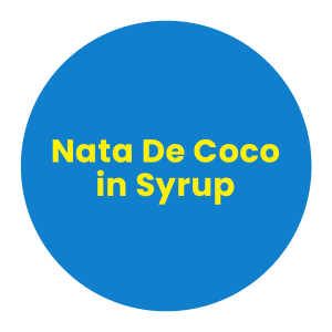 Nata De Coco in Syrup